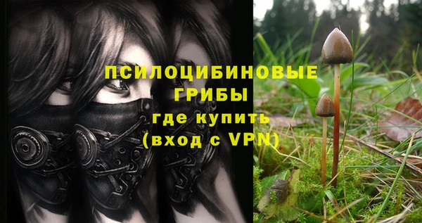 mix Иннополис