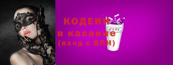 сатива Инсар