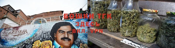 сатива Инсар