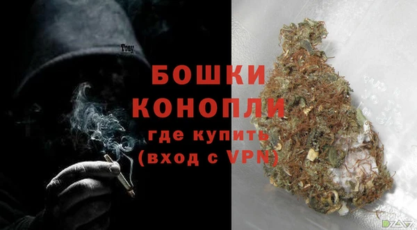 сатива Инсар
