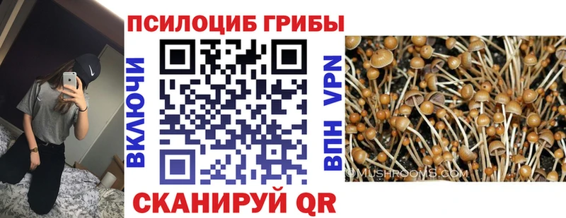 маркетплейс Telegram  Малгобек  Псилоцибиновые грибы Psilocybine cubensis  где купить наркоту 