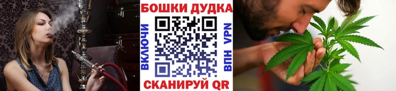 купить наркотик  Малгобек  Бошки Шишки OG Kush 